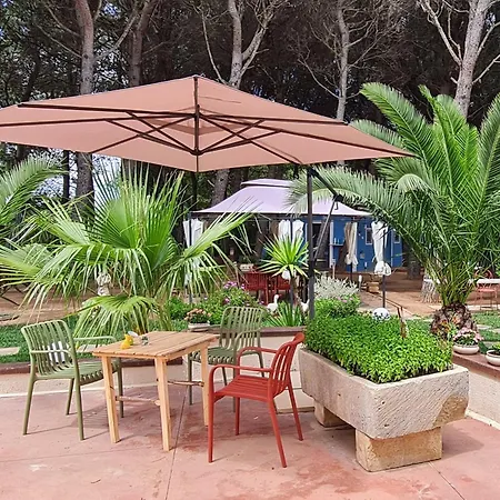 Ulrike クトロフィアーノ